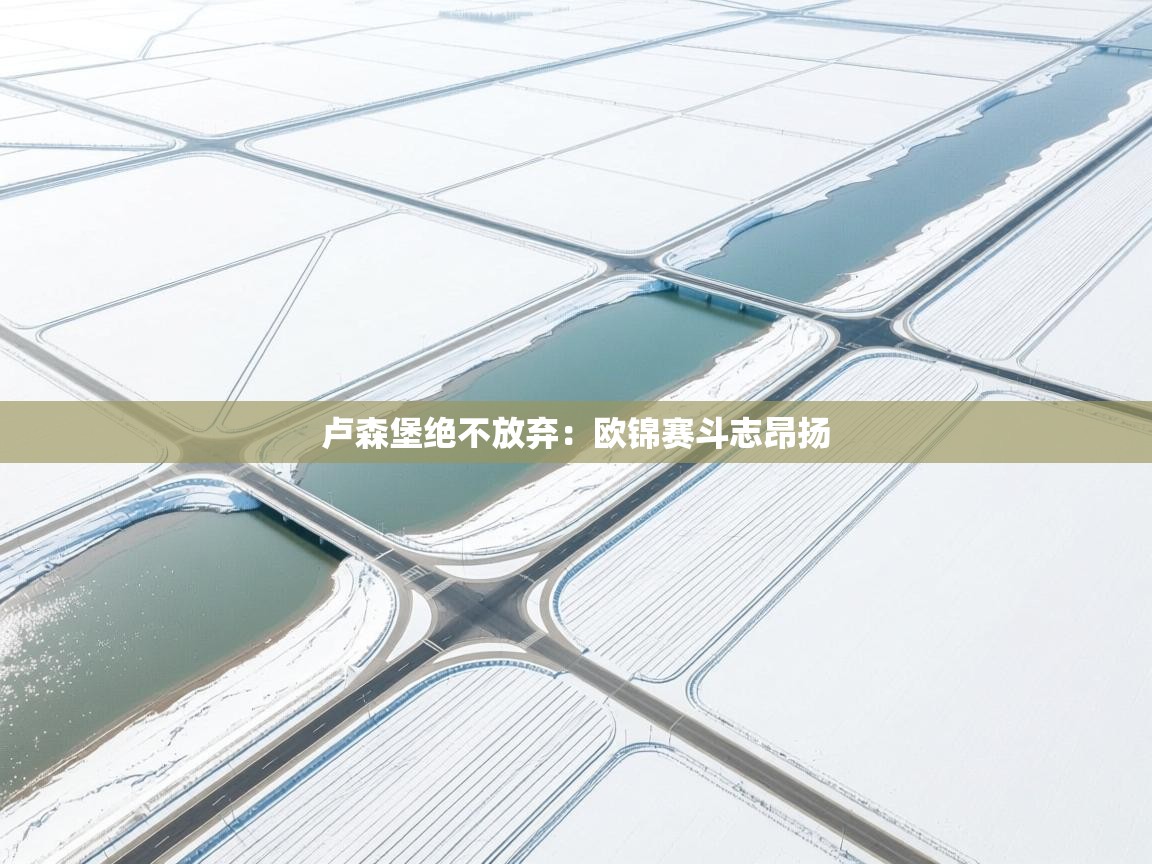 卢森堡绝不放弃:欧锦赛斗志昂扬 第1张