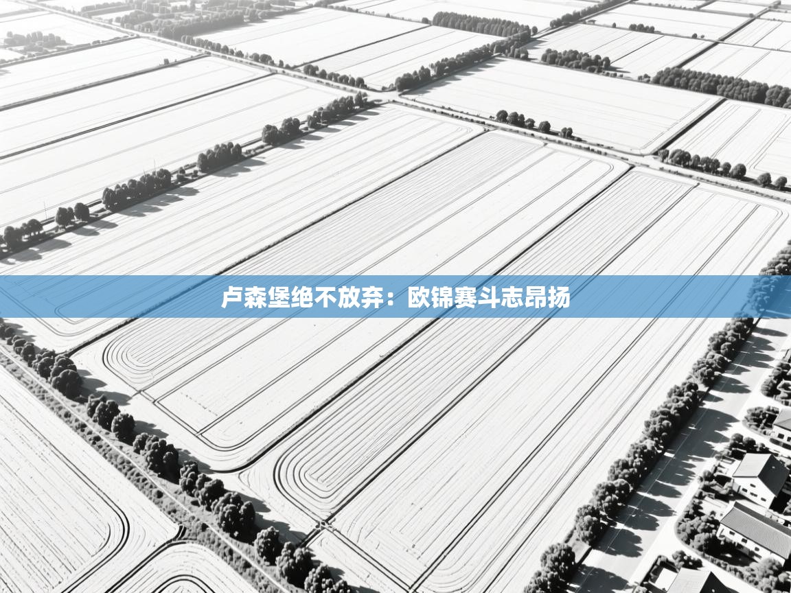 卢森堡绝不放弃:欧锦赛斗志昂扬 第2张