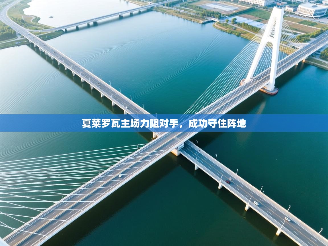 夏莱罗瓦主场力阻对手,成功守住阵地 第1张