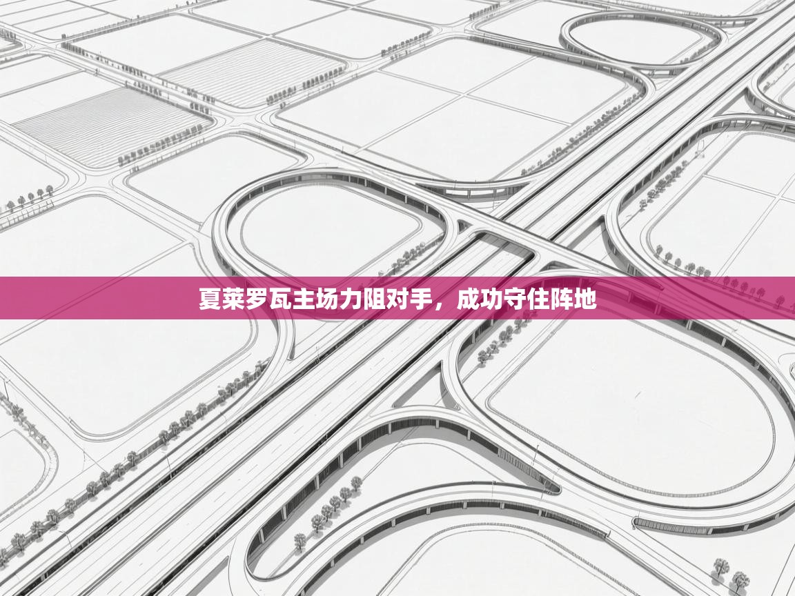 夏莱罗瓦主场力阻对手,成功守住阵地 第2张