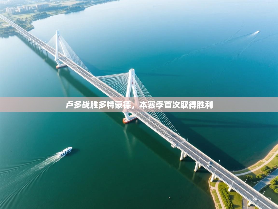 卢多战胜多特蒙德，本赛季首次取得胜利  第1张