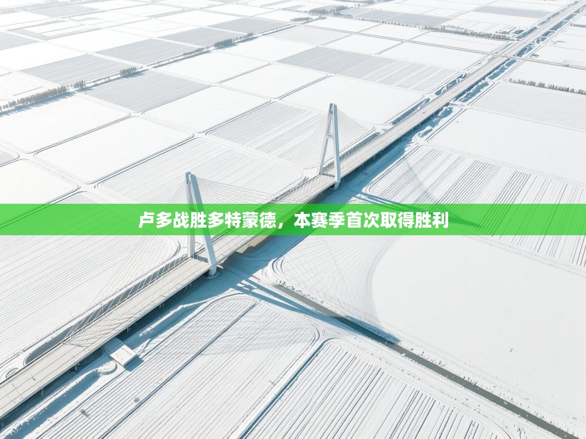 卢多战胜多特蒙德，本赛季首次取得胜利  第2张