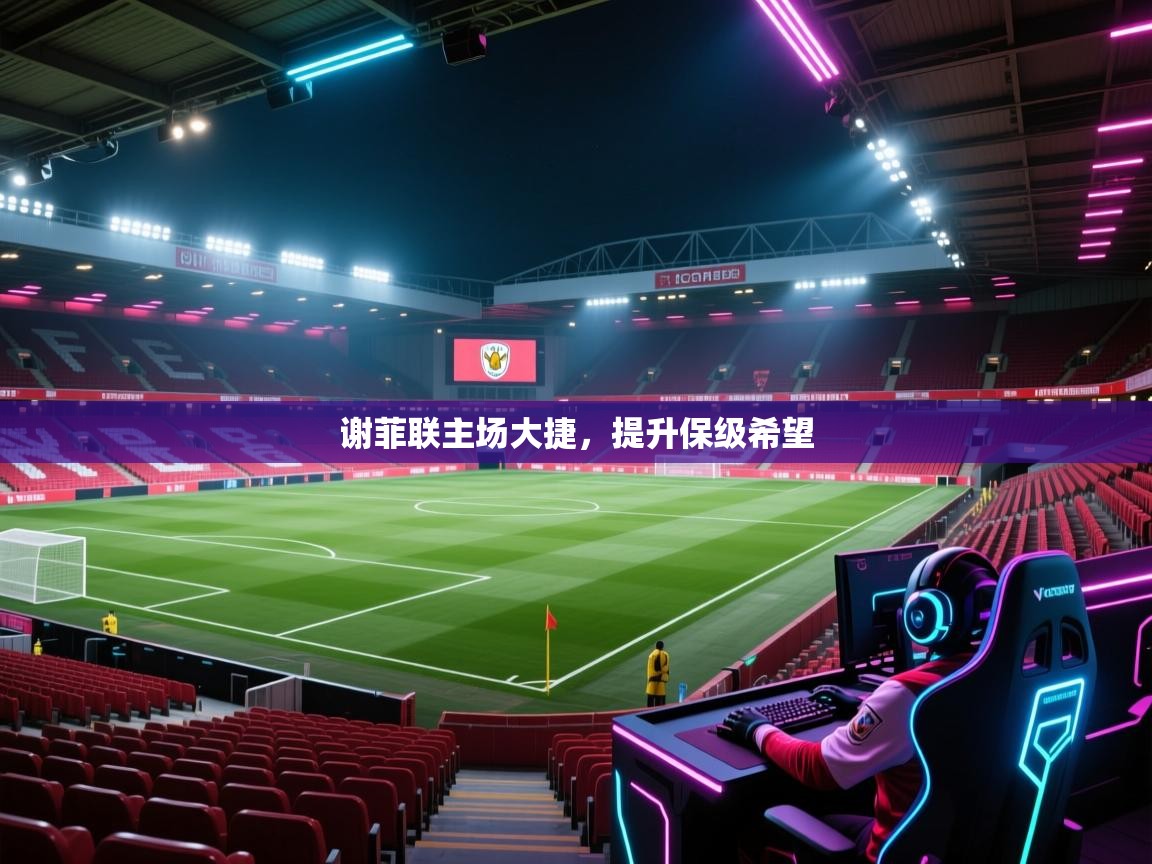 谢菲联主场大捷，提升保级希望  第2张