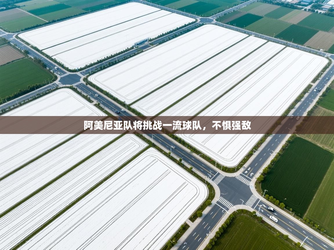 阿美尼亚队将挑战一流球队,不惧强敌 第1张