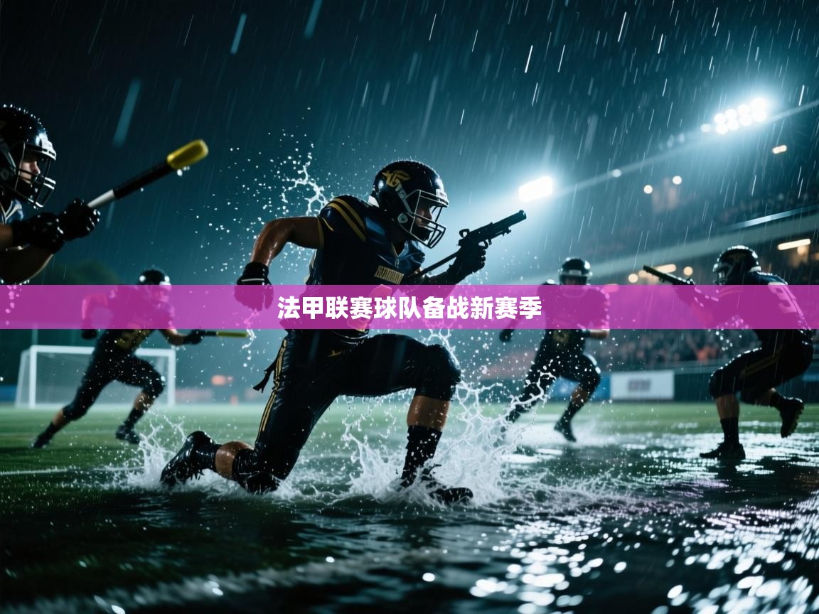 法甲联赛球队备战新赛季  第1张