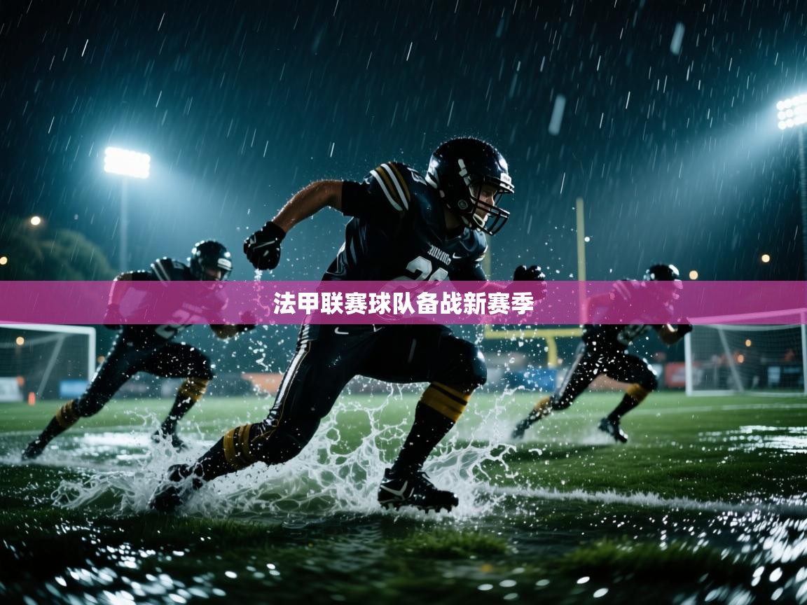 法甲联赛球队备战新赛季  第2张