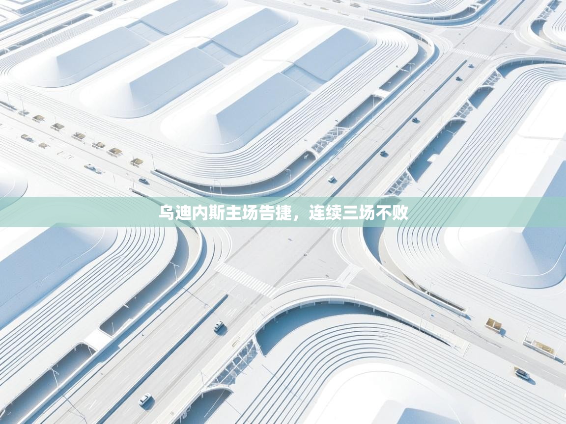 乌迪内斯主场告捷,连续三场不败 第2张