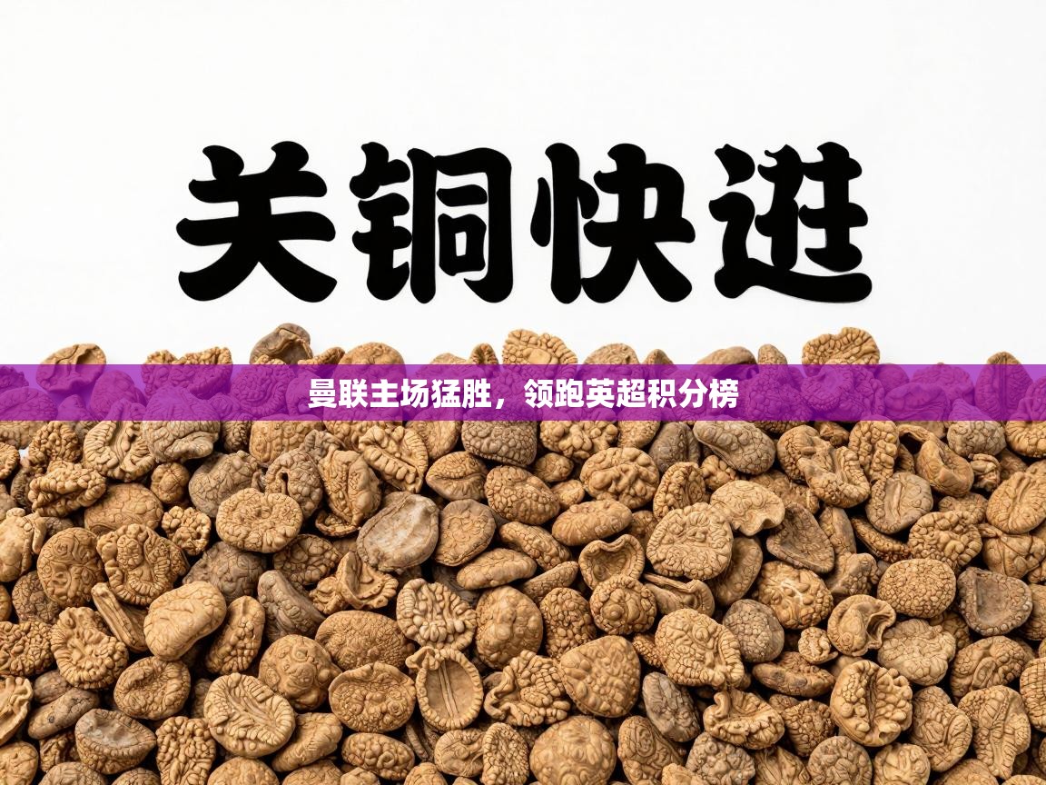 曼联主场猛胜，领跑英超积分榜  第1张