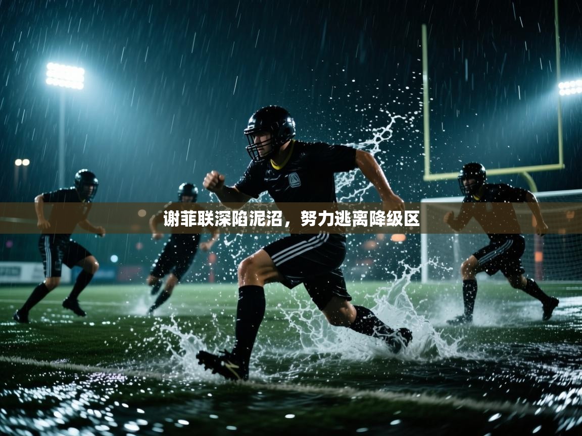 谢菲联深陷泥沼，努力逃离降级区  第2张