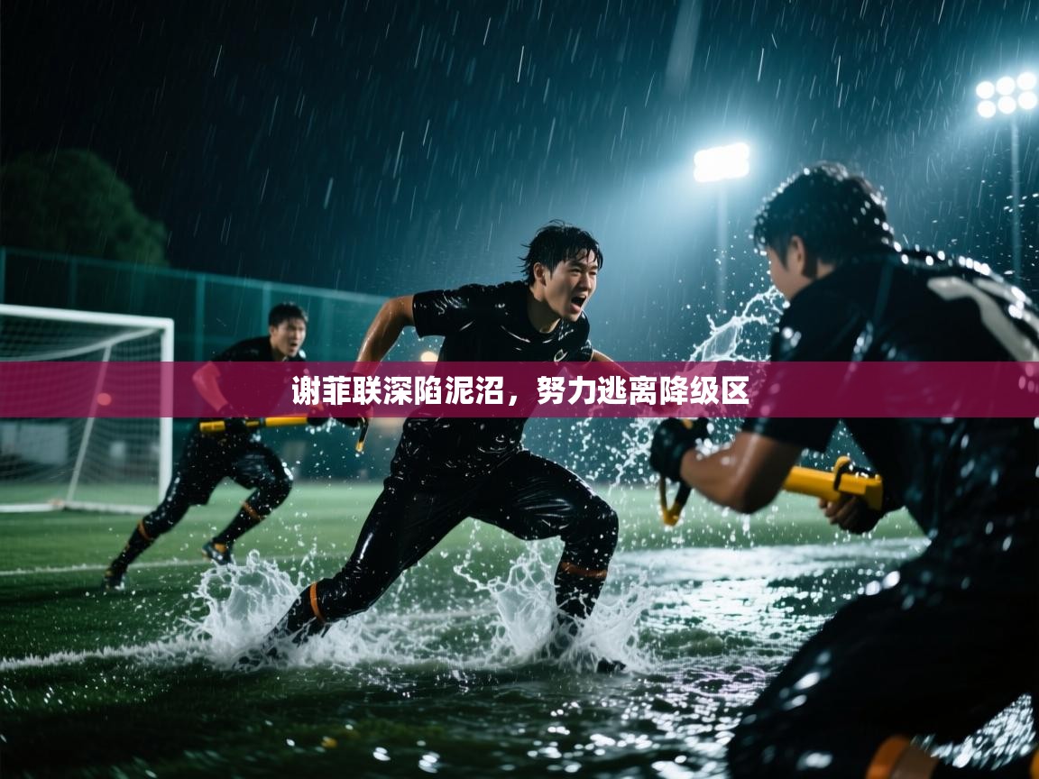 谢菲联深陷泥沼，努力逃离降级区  第1张
