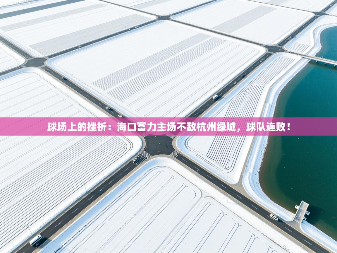 球场上的挫折：海口富力主场不敌杭州绿城，球队连败！  第2张